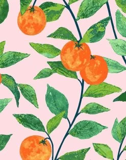 'Orange Crush' Wallpaper By Nathan Turner - Pink 9 'Orange Crush' Wallpaper By Nathan Turner - Pink -Wall Decoration Store OrangeCrush pink.detail 2829fa8d 4faa 4be6 ae85 bf714bd048b5