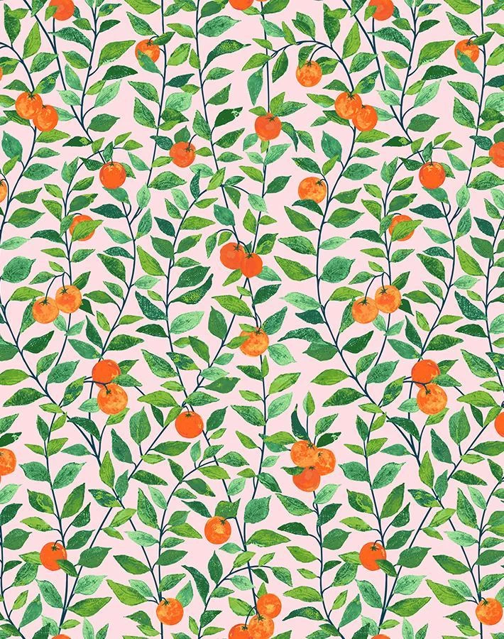 'Orange Crush' Wallpaper By Nathan Turner - Pink 6 'Orange Crush' Wallpaper By Nathan Turner - Pink - Image 4