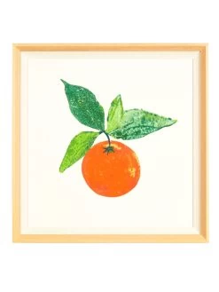'Summer Citrus' Framed Art By Nathan Turner
