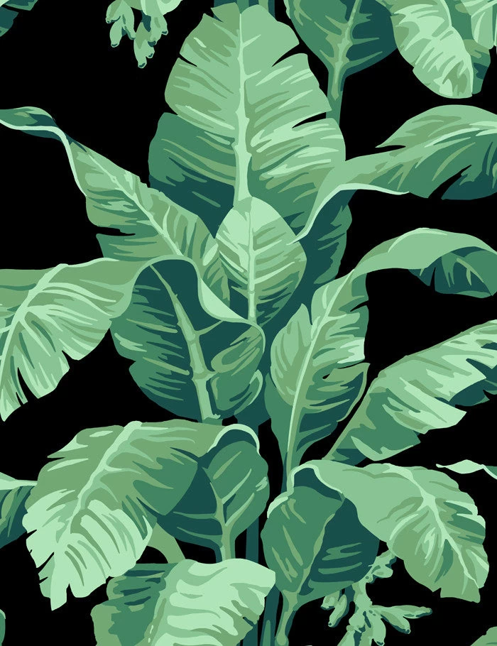 'Pacifico Palm' Wallpaper By Nathan Turner - Onyx 3 'Pacifico Palm' Wallpaper By Nathan Turner - Onyx