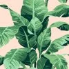 'Pacifico Palm' Wallpaper By Nathan Turner - Peach