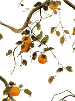 'Persimmon Birds' Wallpaper By Nathan Turner - Persimmon -Wall Decoration Store Persimmon Birds Persimmon Detail