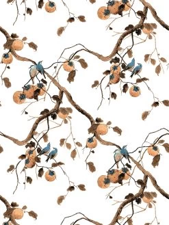 'Persimmon Birds' Wallpaper By Nathan Turner - Washed Sienna 6 'Persimmon Birds' Wallpaper By Nathan Turner - Washed Sienna -Wall Decoration Store Persimmon Birds Washed Sienna Design