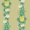 'Pineapple Express' Wallpaper By Nathan Turner - Safari