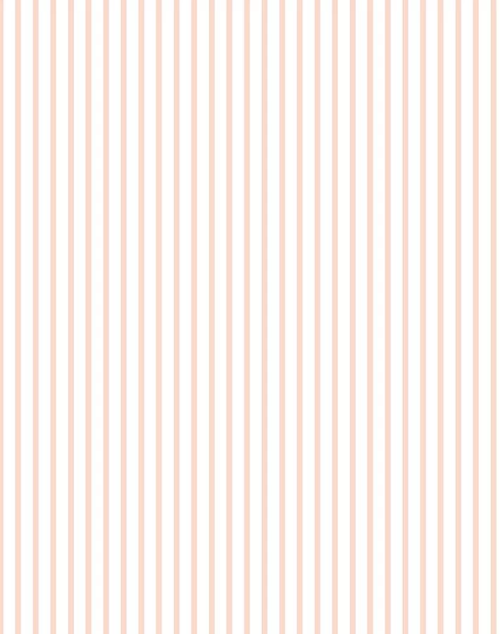 'Pinstripe' Wallpaper By Sugar Paper - Pink 5 'Pinstripe' Wallpaper By Sugar Paper - Pink - Image 3