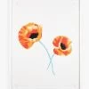 'Poppy Flowers' Framed Art By Nathan Turner