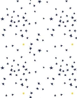 'Rising Star' Wallpaper By Clare V. - Navy / White / Gold
