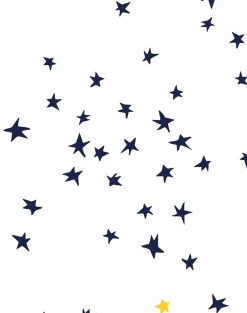 'Rising Star' Wallpaper By Clare V. - Navy / White / Gold -Wall Decoration Store Rising Star by Clare V GoldNavy detail