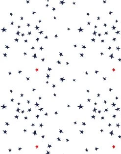 'Rising Star' Wallpaper By Clare V. - Navy / White / Red