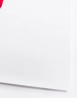 'Ruby' Acrylic Art By Nathan Turner -Wall Decoration Store Ruby on Acrylic by Nathan Turner Detail