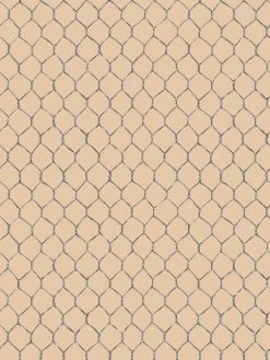 'Evelyn's Chicken Wire' Wallpaper By Sarah Jessica Parker - Metal On Driftwood