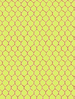 'Evelyn's Chicken Wire' Wallpaper By Sarah Jessica Parker - Raspberry On Citron