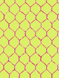 'Evelyn's Chicken Wire' Wallpaper By Sarah Jessica Parker - Raspberry On Citron -Wall Decoration Store SJP Evelyns Chicken Wire Raspberry on Citron Detail