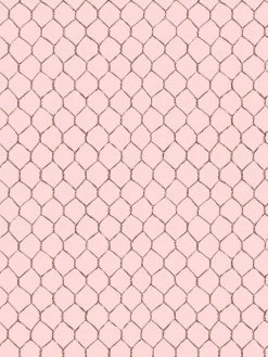 'Evelyn's Chicken Wire' Wallpaper By Sarah Jessica Parker - Sable On Pink
