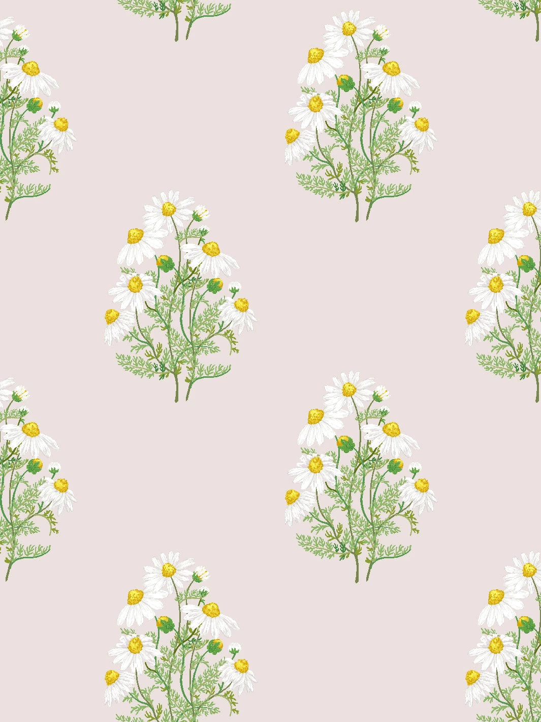 'Fleur De Camomille' Wallpaper By Sarah Jessica Parker - Oyster 3 'Fleur De Camomille' Wallpaper By Sarah Jessica Parker - Oyster