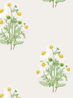 'Fleur De Camomille' Wallpaper By Sarah Jessica Parker - Parchment 7 'Fleur De Camomille' Wallpaper By Sarah Jessica Parker - Parchment -Wall Decoration Store SJP Fleur de Camomille Parchment Detail