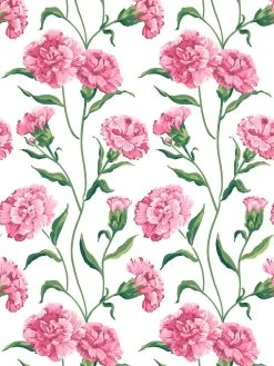 'Townhouse' Mural Wallpaper By Sarah Jessica Parker - Blush