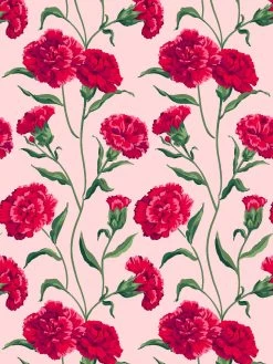 'Townhouse' Mural Wallpaper By Sarah Jessica Parker - Scarlet On Pink