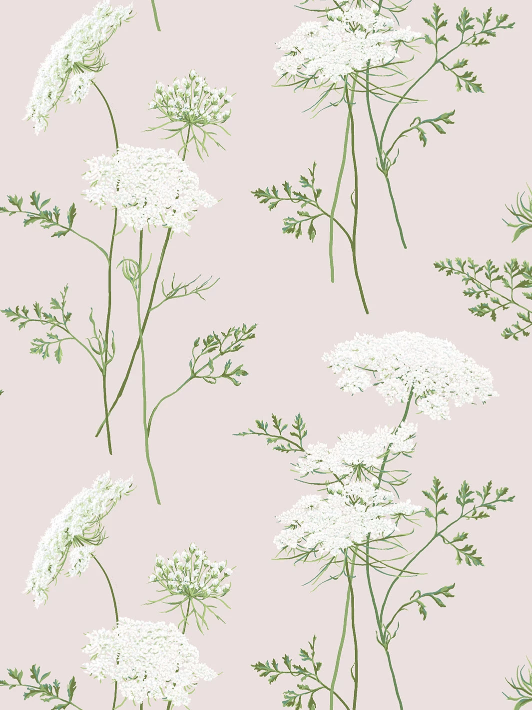 'The Queen's Lace' Wallpaper By Sarah Jessica Parker - Oyster 3 'The Queen's Lace' Wallpaper By Sarah Jessica Parker - Oyster