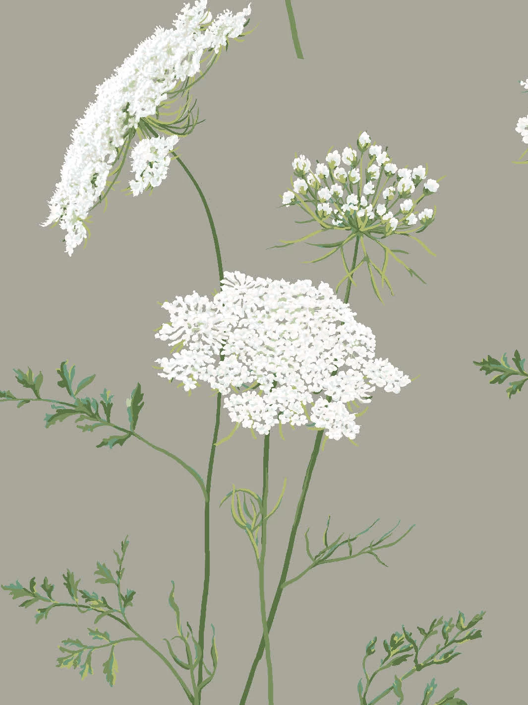 'The Queen's Lace' Wallpaper By Sarah Jessica Parker - Pepper 5 'The Queen's Lace' Wallpaper By Sarah Jessica Parker - Pepper - Image 3