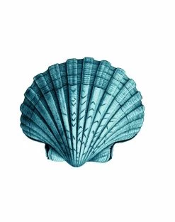 'Seashell' Wallpaper By Wallshoppe - Teal -Wall Decoration Store Seashell forweb detail teal ee2e5c17 fc25 400c 918e 1691000b7d0e