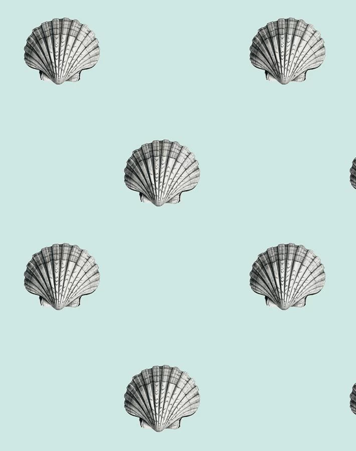 'Seashell' Wallpaper By Wallshoppe - Seafoam 3 'Seashell' Wallpaper By Wallshoppe - Seafoam