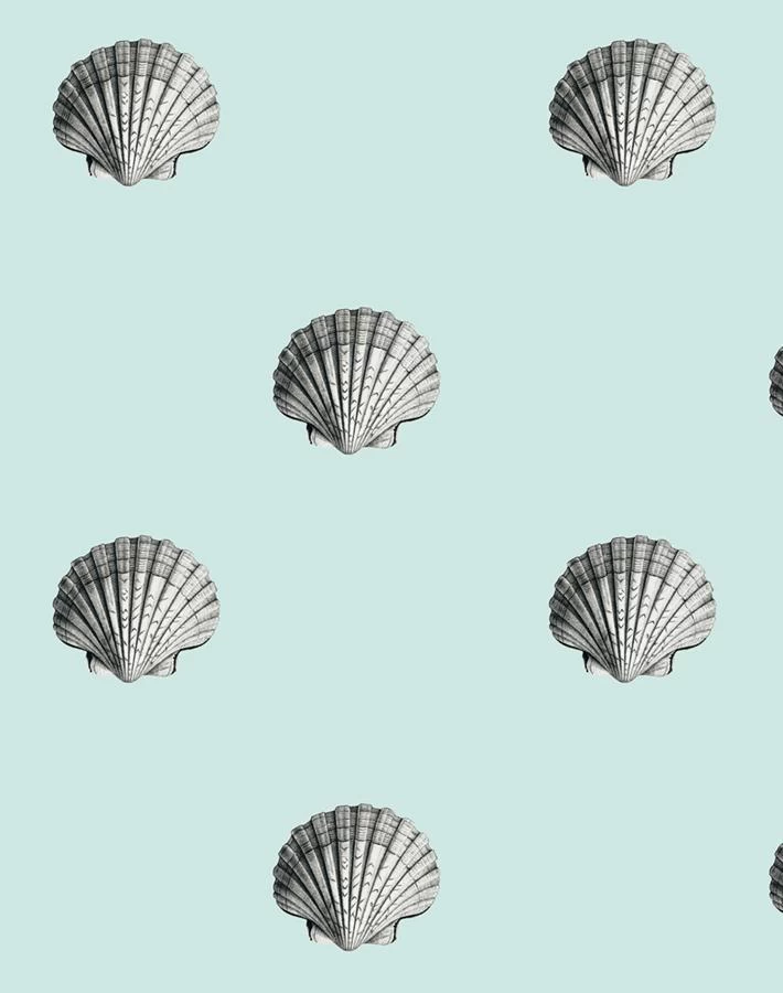 'Seashell' Wallpaper By Wallshoppe - Seafoam 6 'Seashell' Wallpaper By Wallshoppe - Seafoam - Image 4