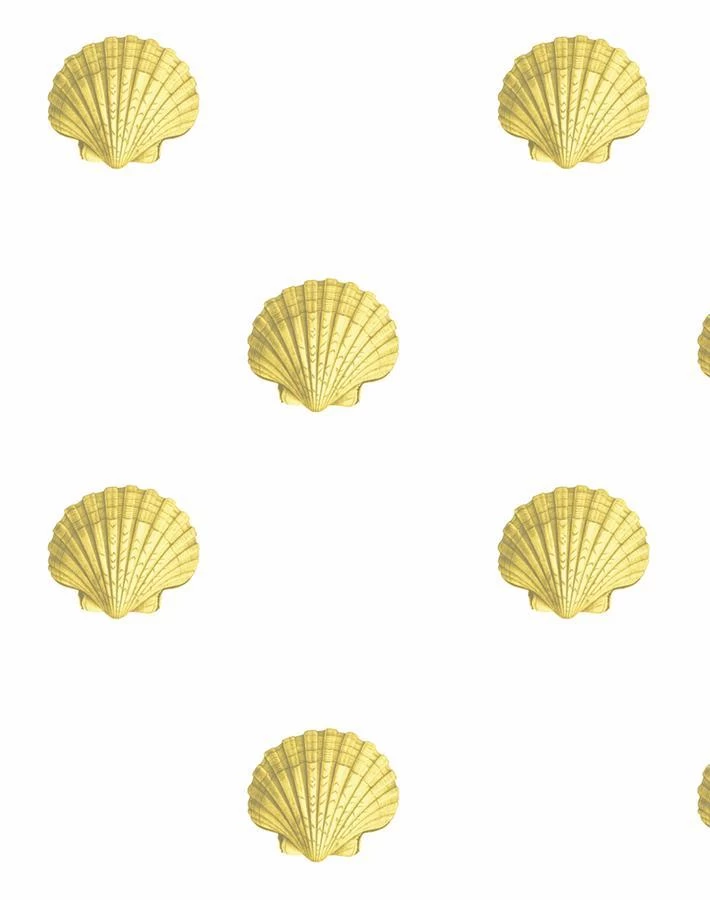'Seashell' Wallpaper By Wallshoppe - Yellow 6 'Seashell' Wallpaper By Wallshoppe - Yellow - Image 4