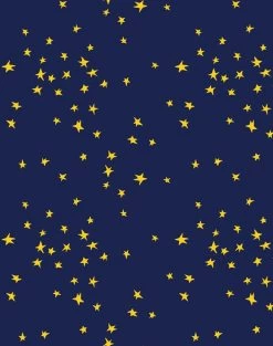 'Star' Wallpaper By Clare V. - Gold / Navy