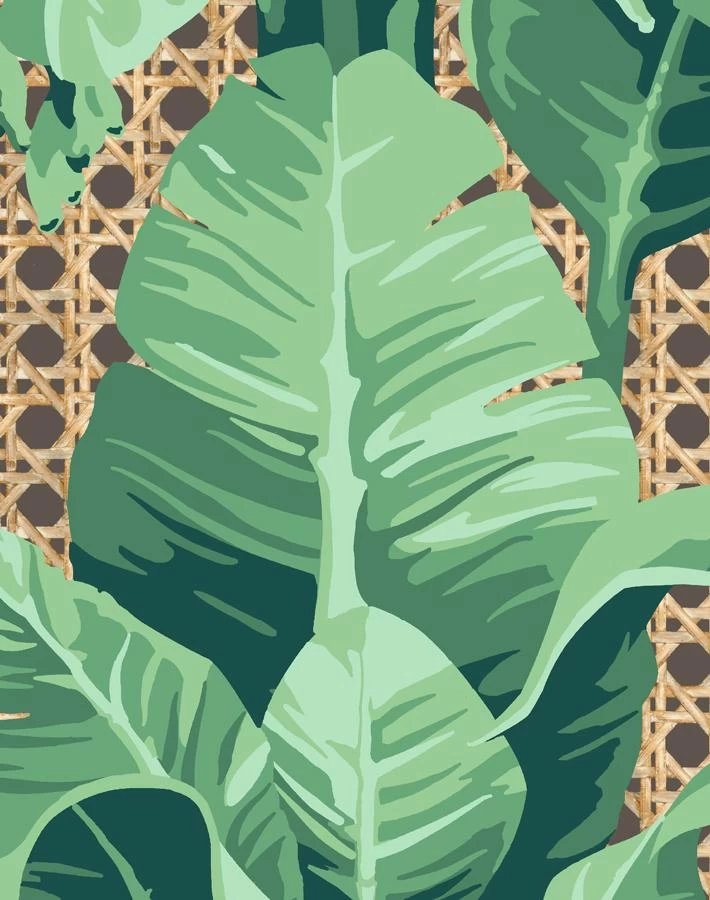 'Sunnylands Palm' Wallpaper By Nathan Turner - Chocolate 5 'Sunnylands Palm' Wallpaper By Nathan Turner - Chocolate - Image 3