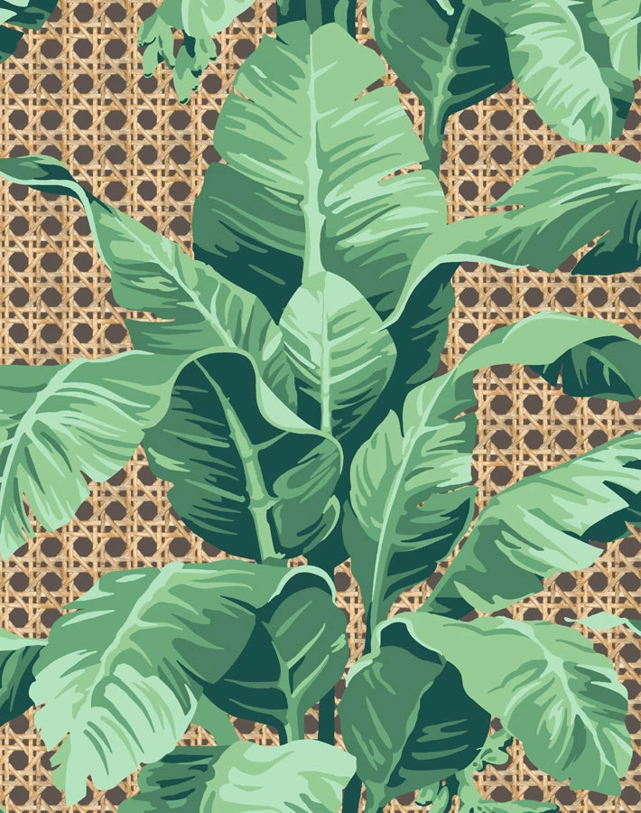 'Sunnylands Palm' Wallpaper By Nathan Turner - Chocolate 3 'Sunnylands Palm' Wallpaper By Nathan Turner - Chocolate
