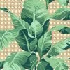 'Sunnylands Palm' Wallpaper By Nathan Turner - Pistachio -Wall Decoration Store Sunnylands Palm Pistachio web ready for WS