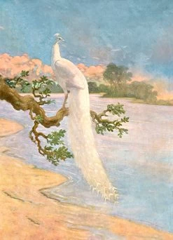 'White Peacock' Removable Mural