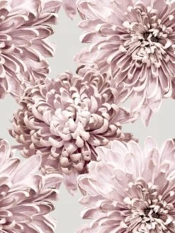 'The Mums' Wallpaper By Sarah Jessica Parker - Silver 7 'The Mums' Wallpaper By Sarah Jessica Parker - Silver -Wall Decoration Store The Mums Wallpaper by Sarah Jessica Parker Silver Detail