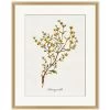 'Valley Wildflower Honeysuckle' By Nathan Turner Framed Art 2 'Valley Wildflower Honeysuckle' By Nathan Turner Framed Art -Wall Decoration Store Valley Wildflower Honeysuckle Design