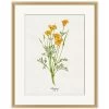'Valley Wildflower Poppy' By Nathan Turner Framed Art