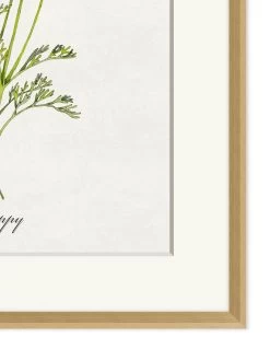 'Valley Wildflower Poppy' By Nathan Turner Framed Art -Wall Decoration Store Valley Wildflower Poppy Detail