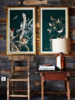'Woodland Birds 1' Framed Art By Nathan Turner