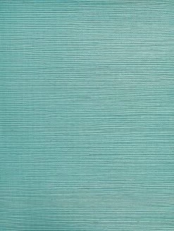'Solid Grasscloth Wallpaper By Wallshoppe - Calypso