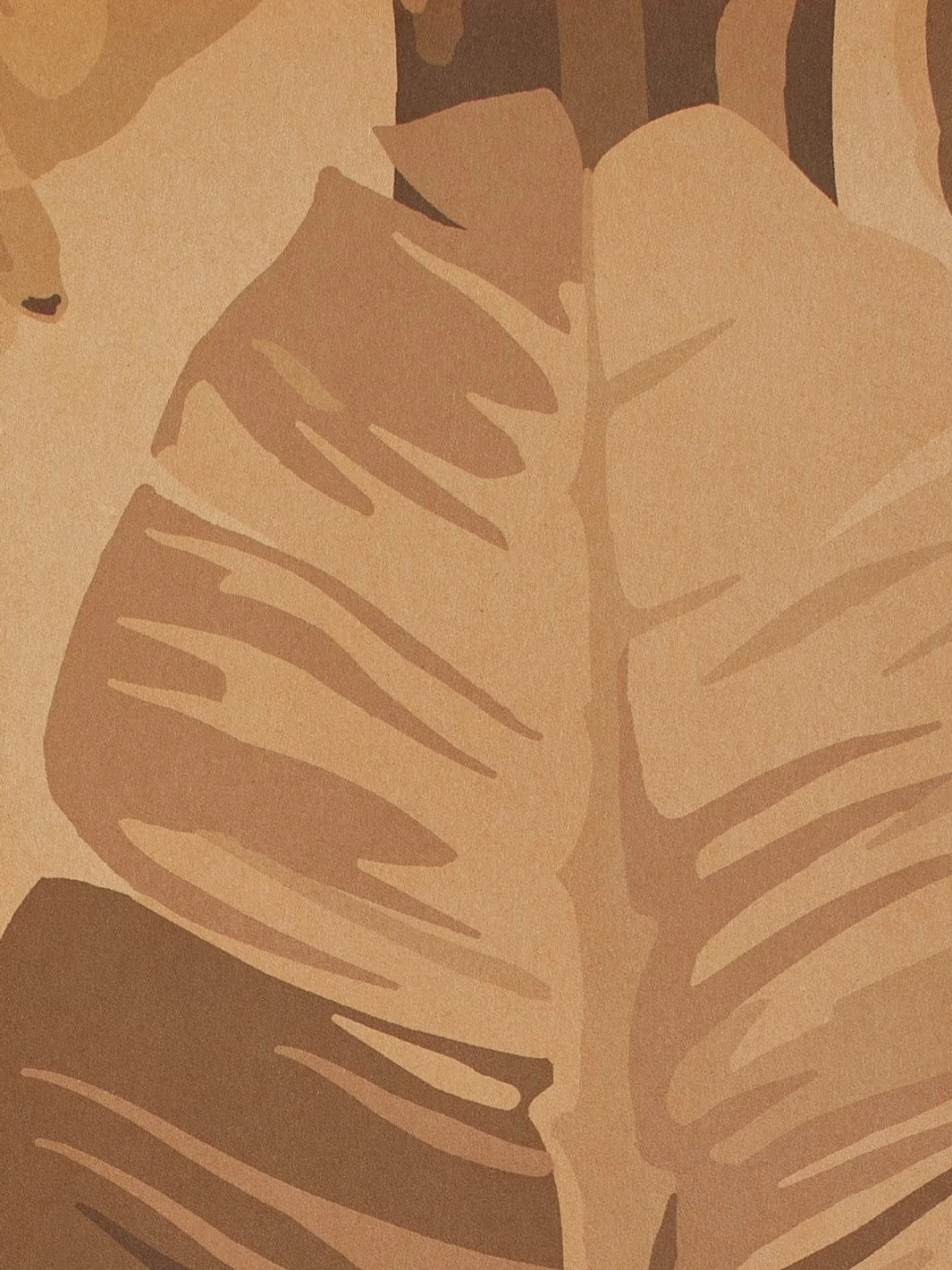 'Pacifico Palm' Kraft Wallpaper By Nathan Turner - Cappuccino 5 'Pacifico Palm' Kraft Wallpaper By Nathan Turner - Cappuccino - Image 3