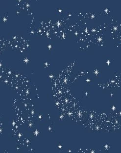 'Stardust' Wallpaper By Barbie™ - Navy -Wall Decoration Store Wallshoppe Stardust Wallpaper by Barbie Navy Detail 50cf2400 668b 4219 8c4b 4582ef145e40