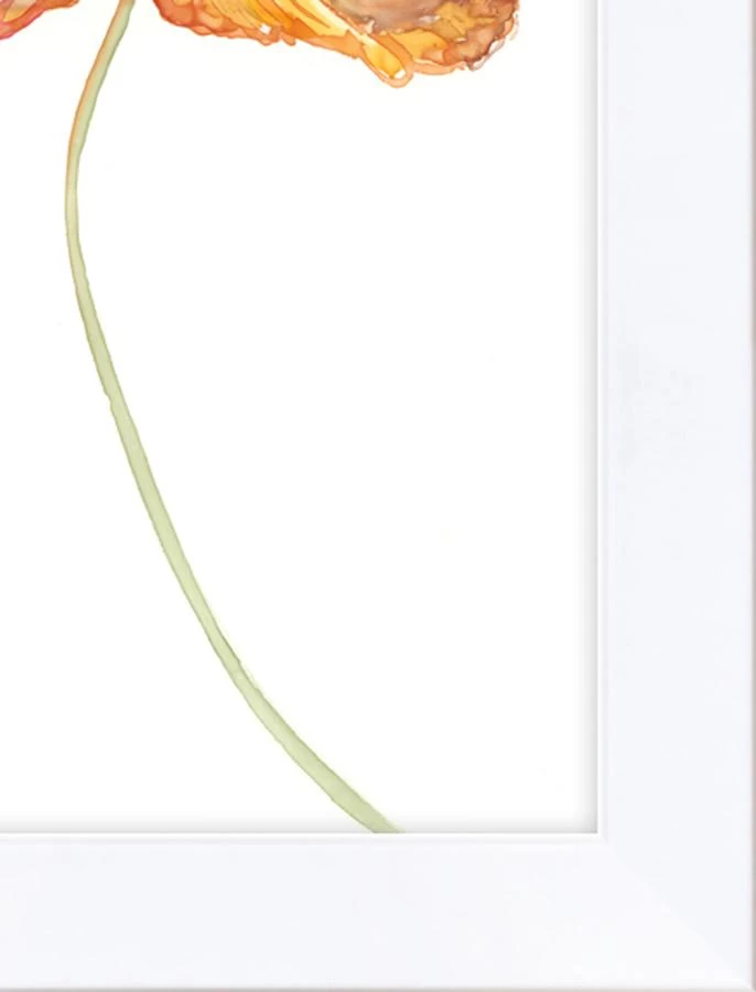 'Watercolor Poppy' Framed Art By Nathan Turner 5 'Watercolor Poppy' Framed Art By Nathan Turner - Image 3