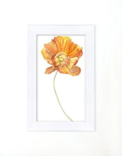 'Watercolor Poppy' Framed Art By Nathan Turner