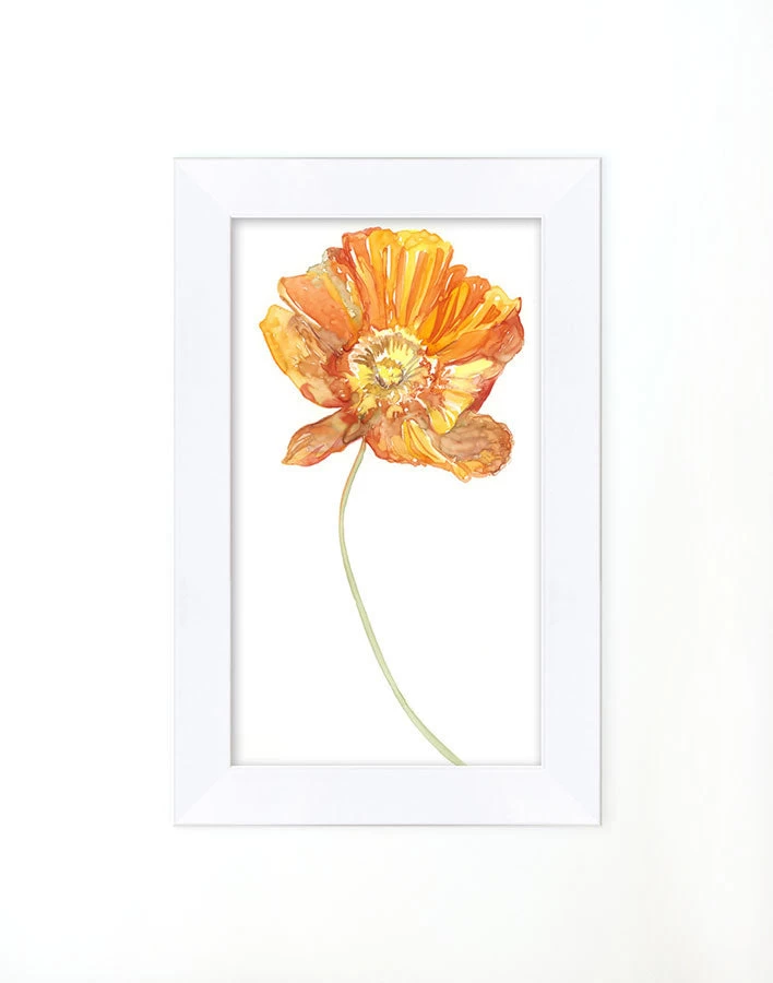 'Watercolor Poppy' Framed Art By Nathan Turner 3 'Watercolor Poppy' Framed Art By Nathan Turner