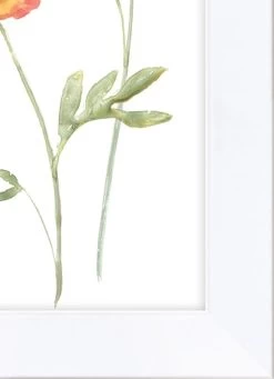 'Watercolor Wild Bloom' Framed Art By Nathan Turner -Wall Decoration Store Wild Bloom by Nathan Turner detai