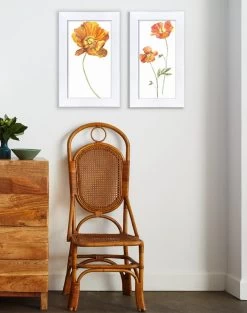 'Watercolor Wild Bloom' Framed Art By Nathan Turner -Wall Decoration Store Wild Bloom by Nathan Turner RS