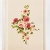 'Wild Pink Roses' Framed Art By Artshoppe -Wall Decoration Store Wild Pink Roses