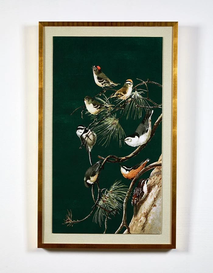 'Woodland Birds 2' Framed Art By Nathan Turner 4 'Woodland Birds 2' Framed Art By Nathan Turner - Image 2