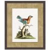 'Woodland Perch 1' By Nathan Turner Framed Art -Wall Decoration Store Woodland Perch 1 Design 6fd5b6c0 2fdc 4e29 aa5f 9dabc7c8337c