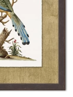 'Woodland Perch 3' By Nathan Turner Framed Art -Wall Decoration Store Woodland Perch 3 Detail